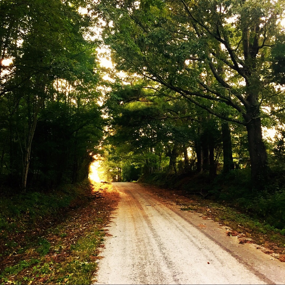 Meet your Posher, Mitzi